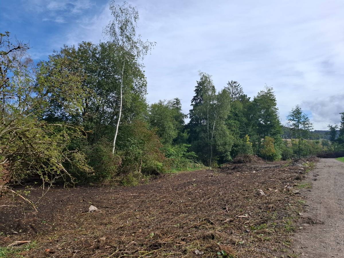 Der Wegrand am Südufer des Hüttwilersees soll künftig regelmässig gemäht werden.