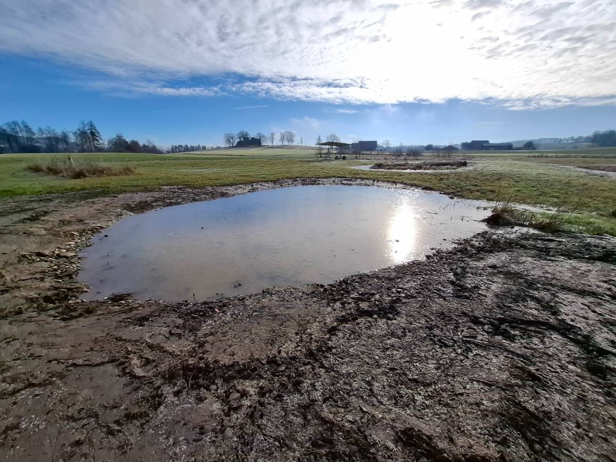 Wo vor kurzem noch die Feldscheune stand, kann man nun einen schönen Amphibientümpel bestaunen