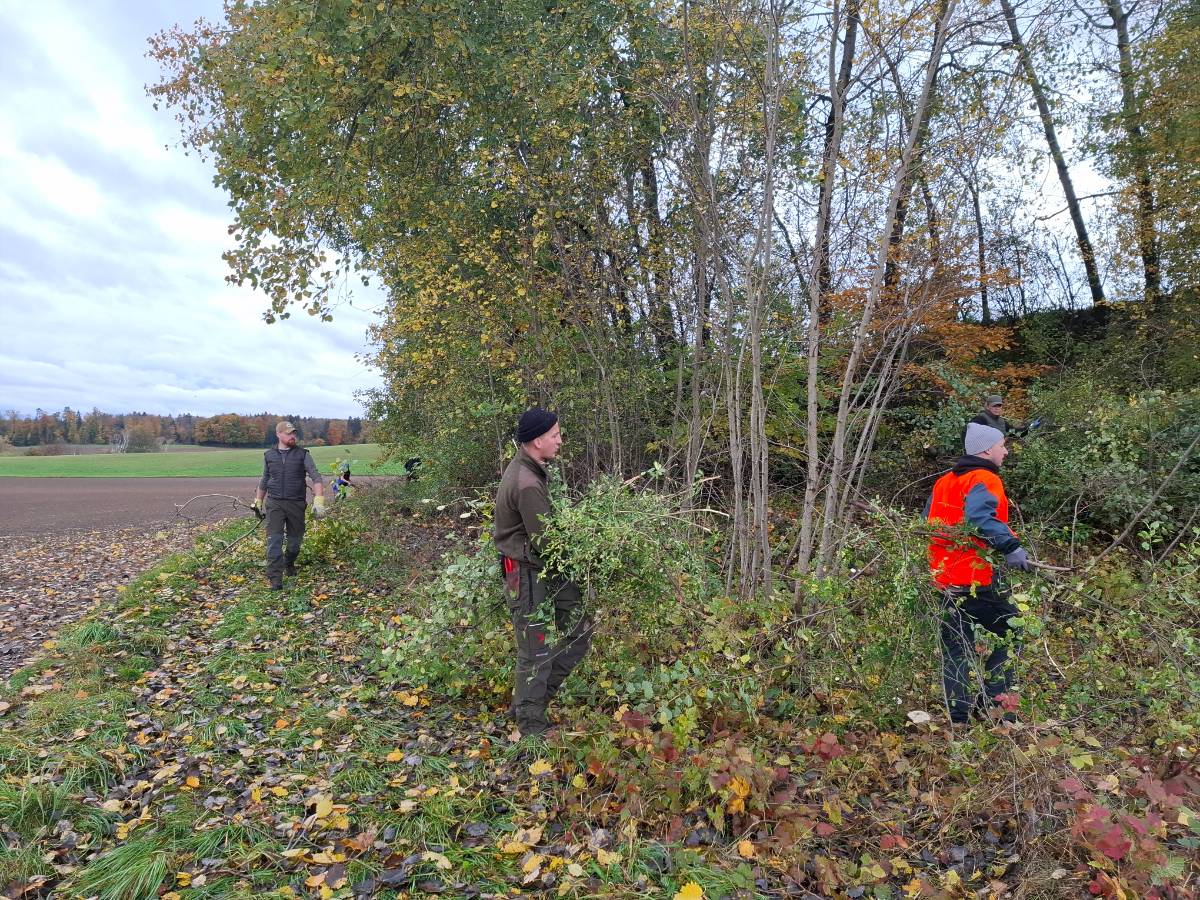 Mit grossem Einsatz waren die Jungjägerinnen und Jungjäger im Seebachtal unterwegs.