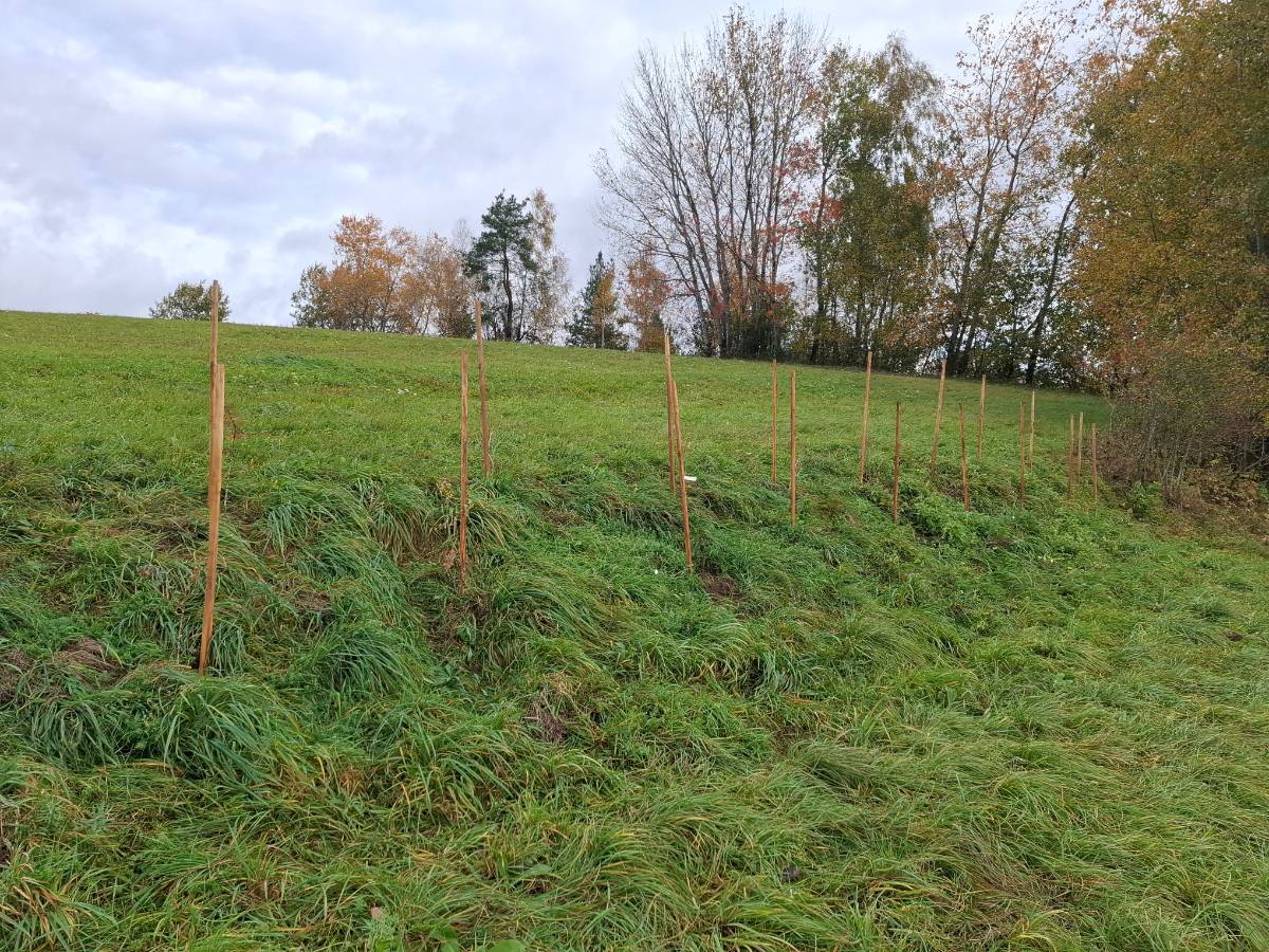 Mit grossem Einsatz waren die Jungjägerinnen und Jungjäger im Seebachtal unterwegs.