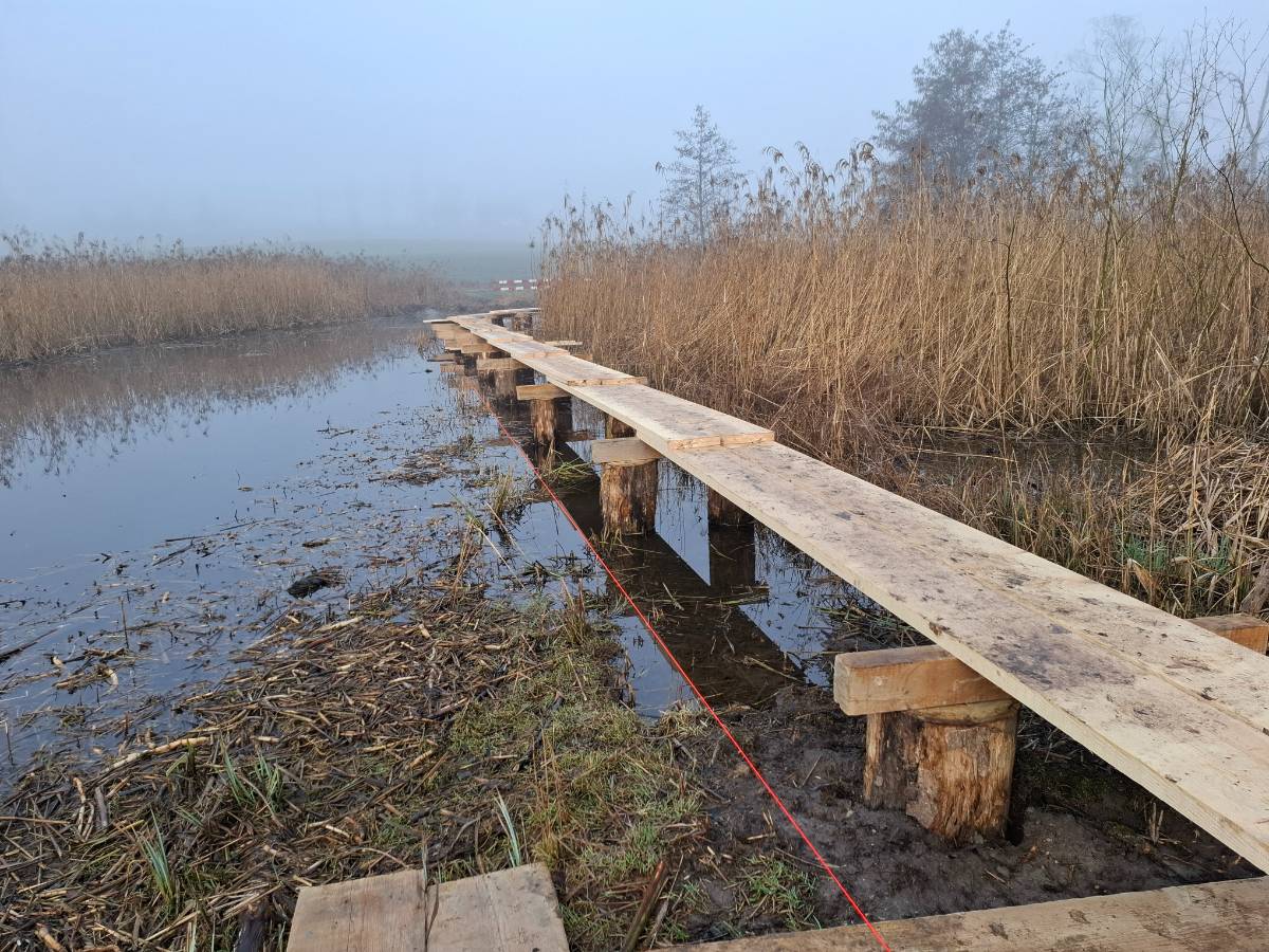Für die Konstruktion des Oberbaus musste ein provisorischer Steg aus Planken gebaut werden. 