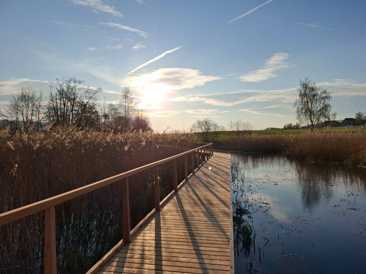 Geschafft! Endlich können die BesucherInnen wieder über die schöne Flachwasserzone im Riet spazieren
